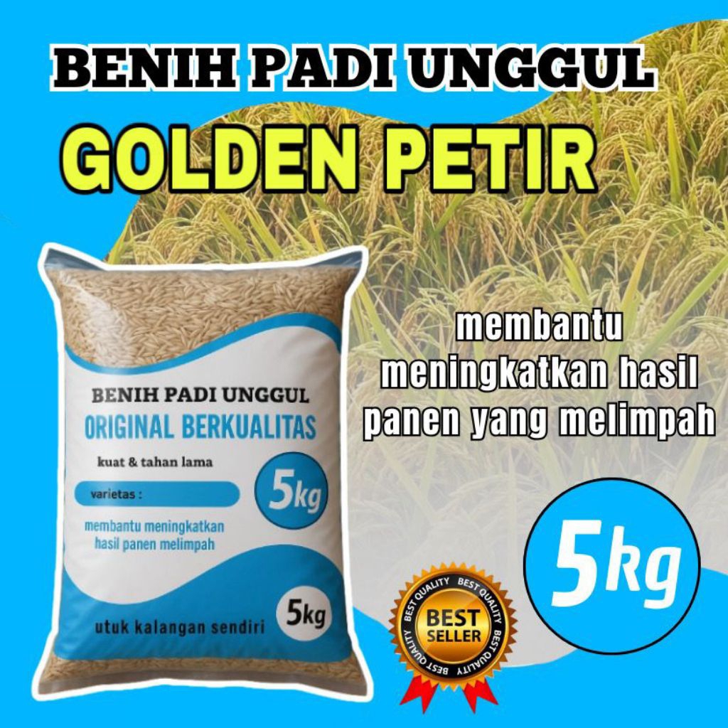 Benih padi GOLDEN PETIR benih berkualitas kemasan 5kg