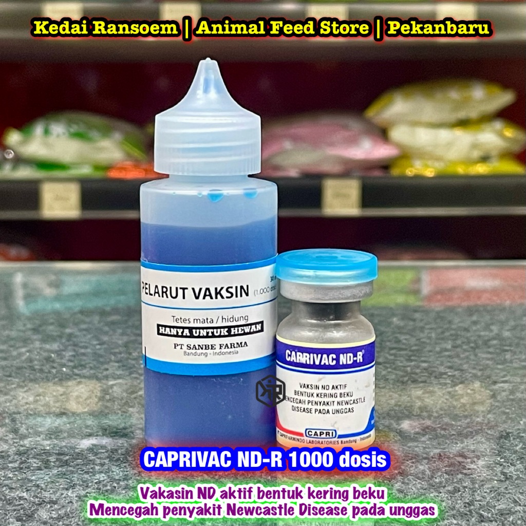 Caprivac ND-R 1000 ds | Vaksin ND aktif mencegah penyakit ND tetelo pada Unggas, Ayam, Bebek