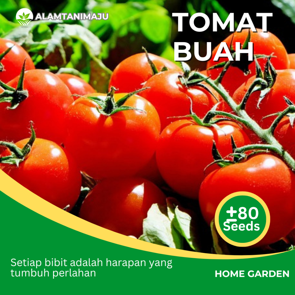 Alamtani - Benih Tomat Buah Merah Bibit Tomat Buah Unggul Isi ± 80 Seeds