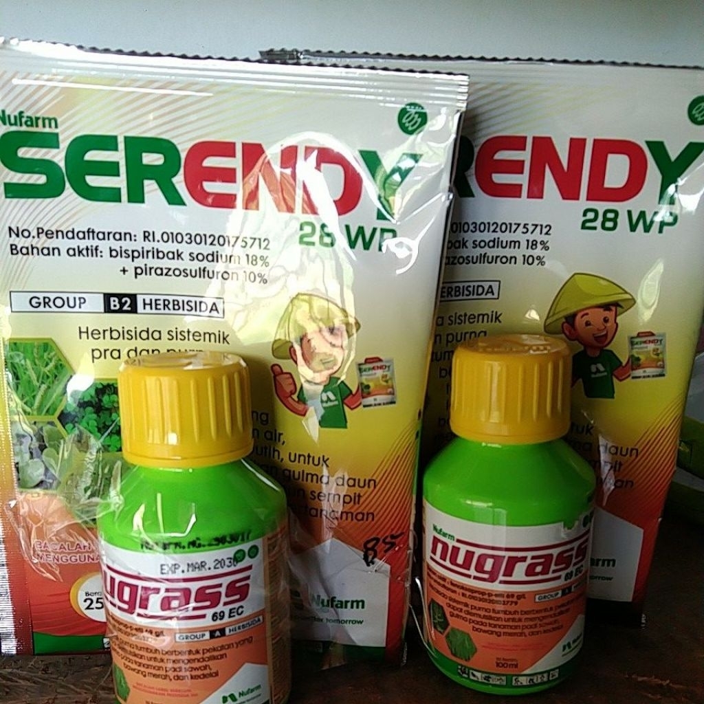 SERENDY+NUGRASS