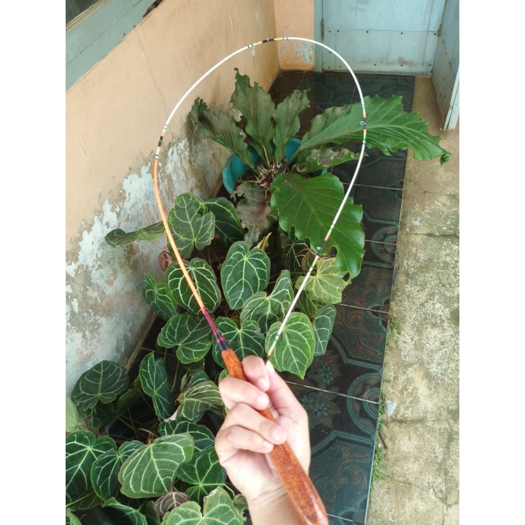 Joran Wader Super Lentur