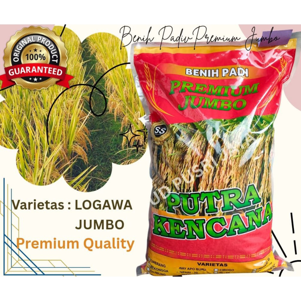 Benih Padi LOGAWA JUMBO PREMIUM