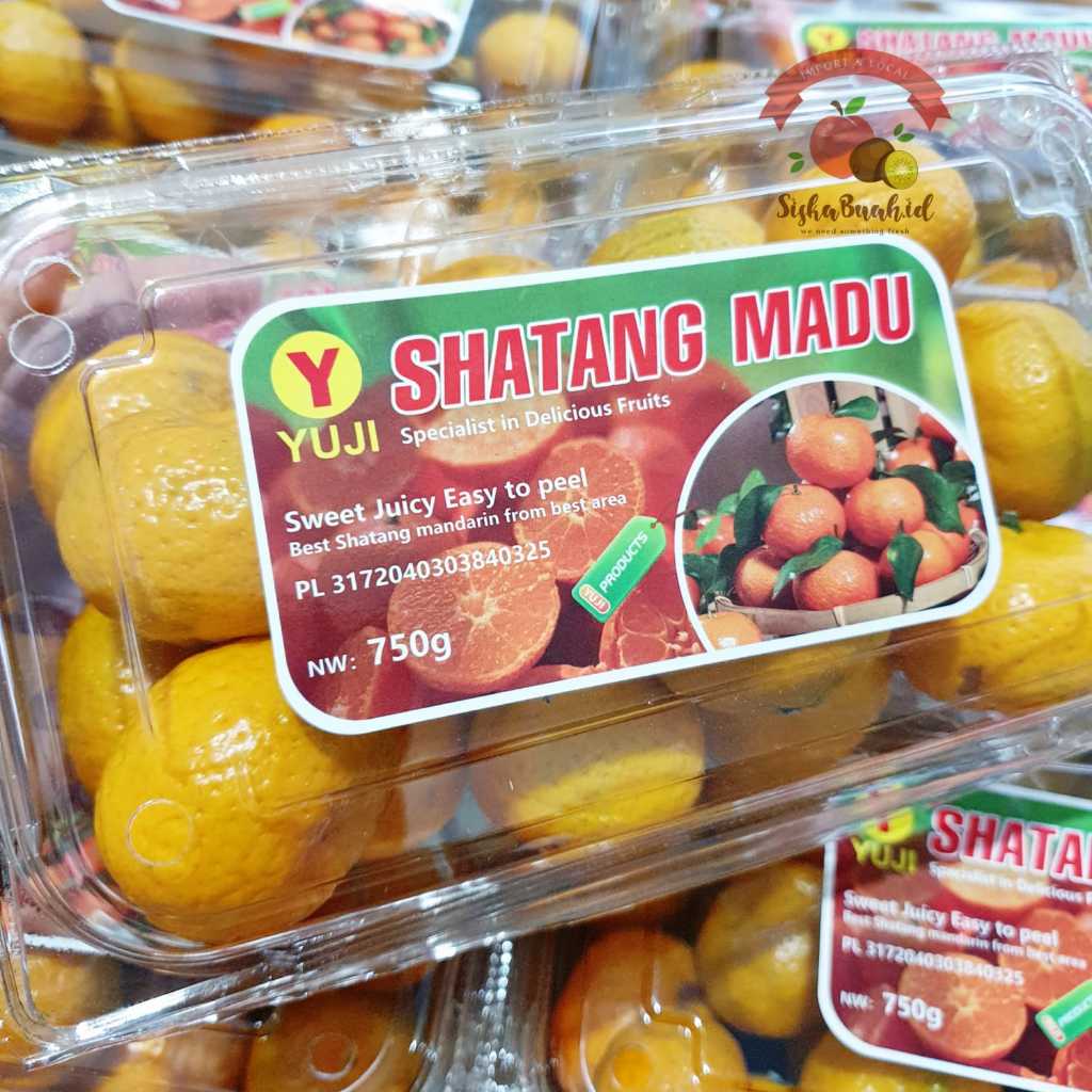 JERUK SANTANG MADU | SANTANG MANIS | JERUK SHATANG MANDARIN - FRESH IMPORT CHINA