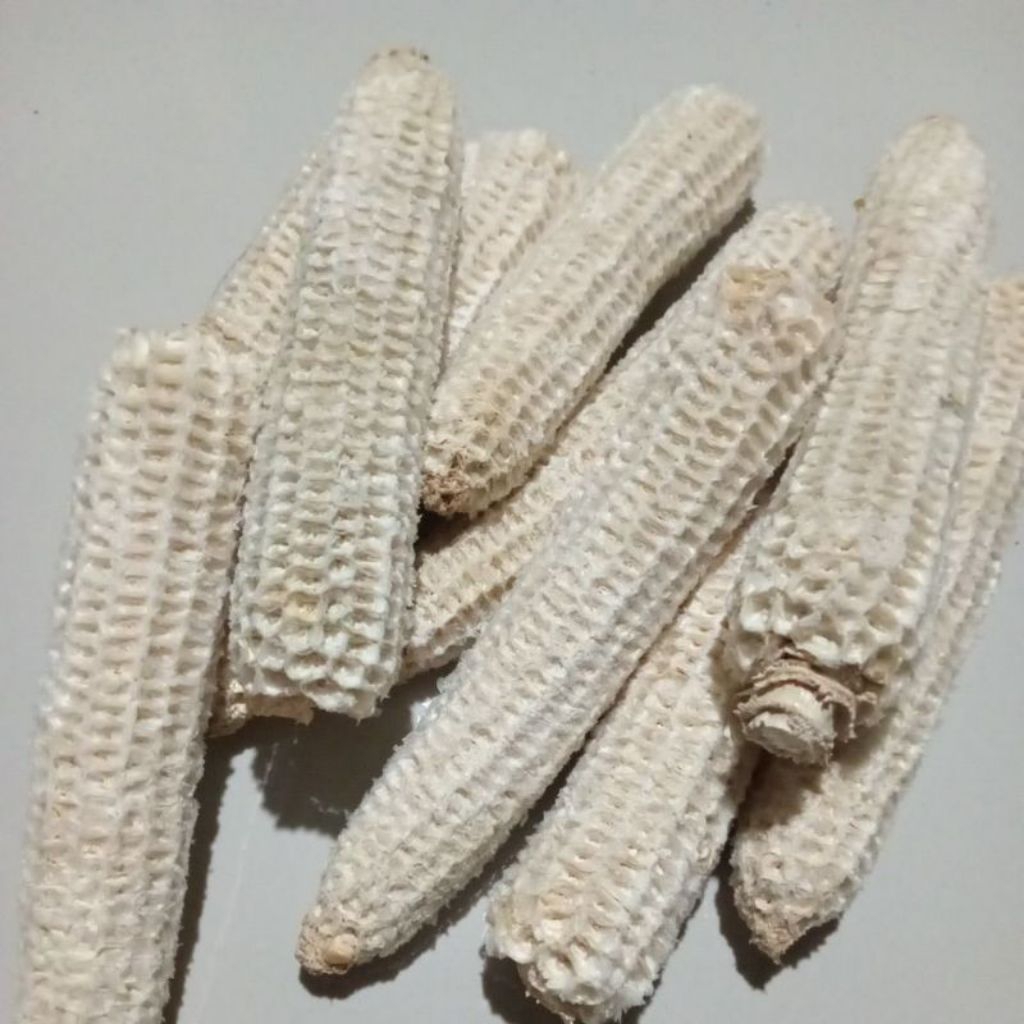 Tongkol bongol jagung 1/2 kg