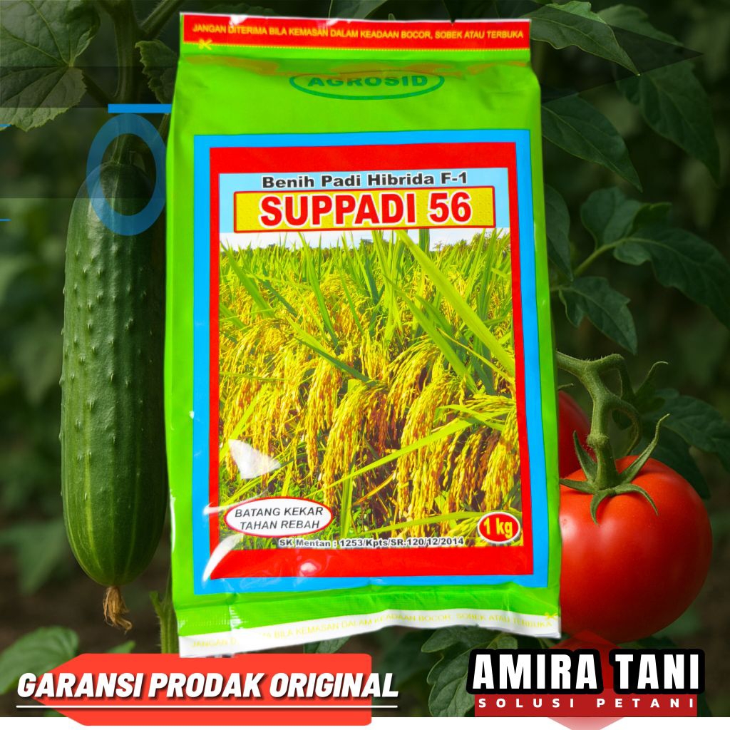 Suppadi 56 benih padi hibrida F1 1 kg exp 5/2026
