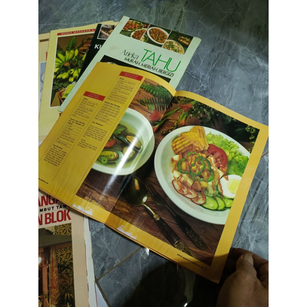 Kumpulan Resep bonus dari majalah femina, kartini dan sarinah - Di GB2 kode M1