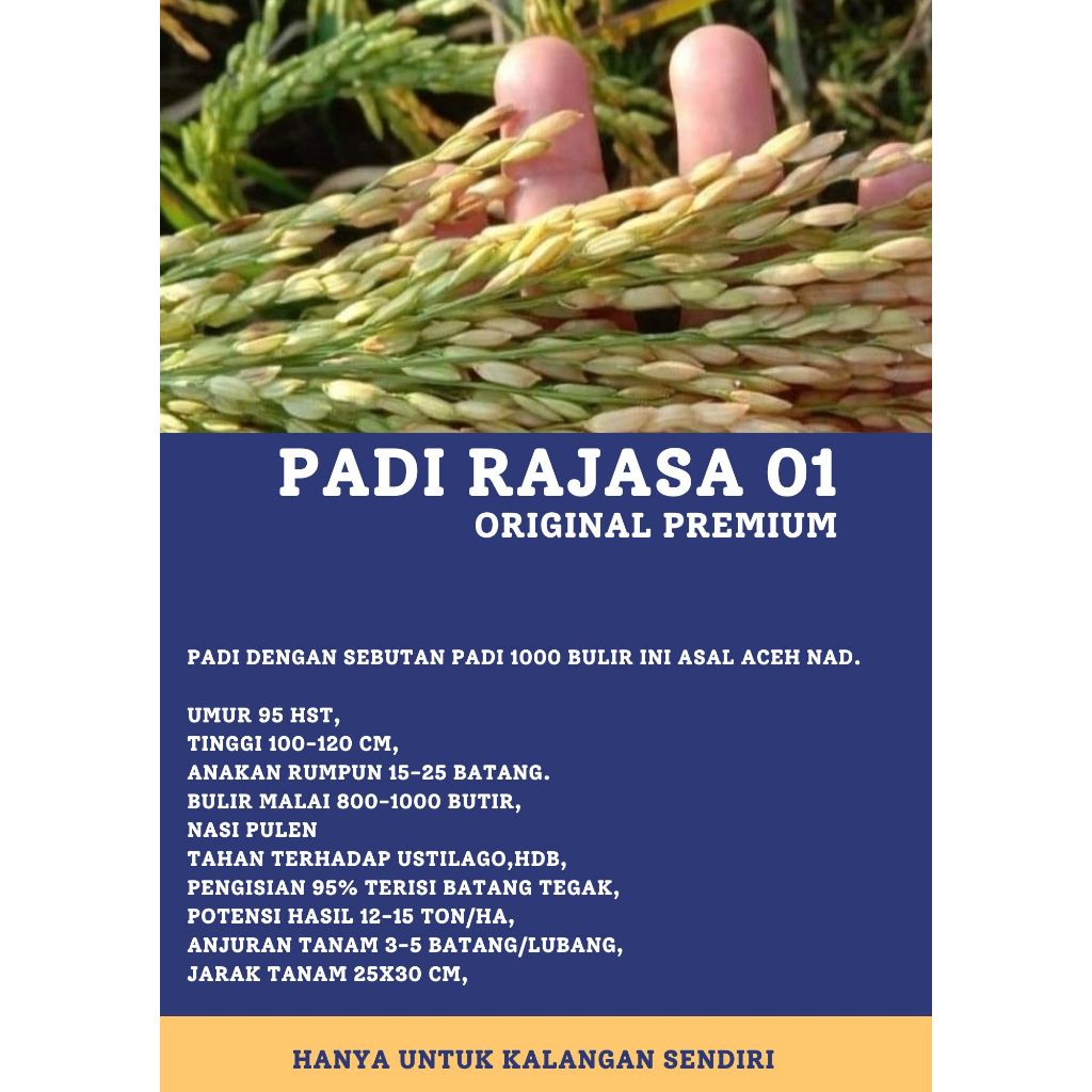 Bibit Benih Padi Rajasa 01 ORIGINAL PREMIUM Kemasan 5 Kg