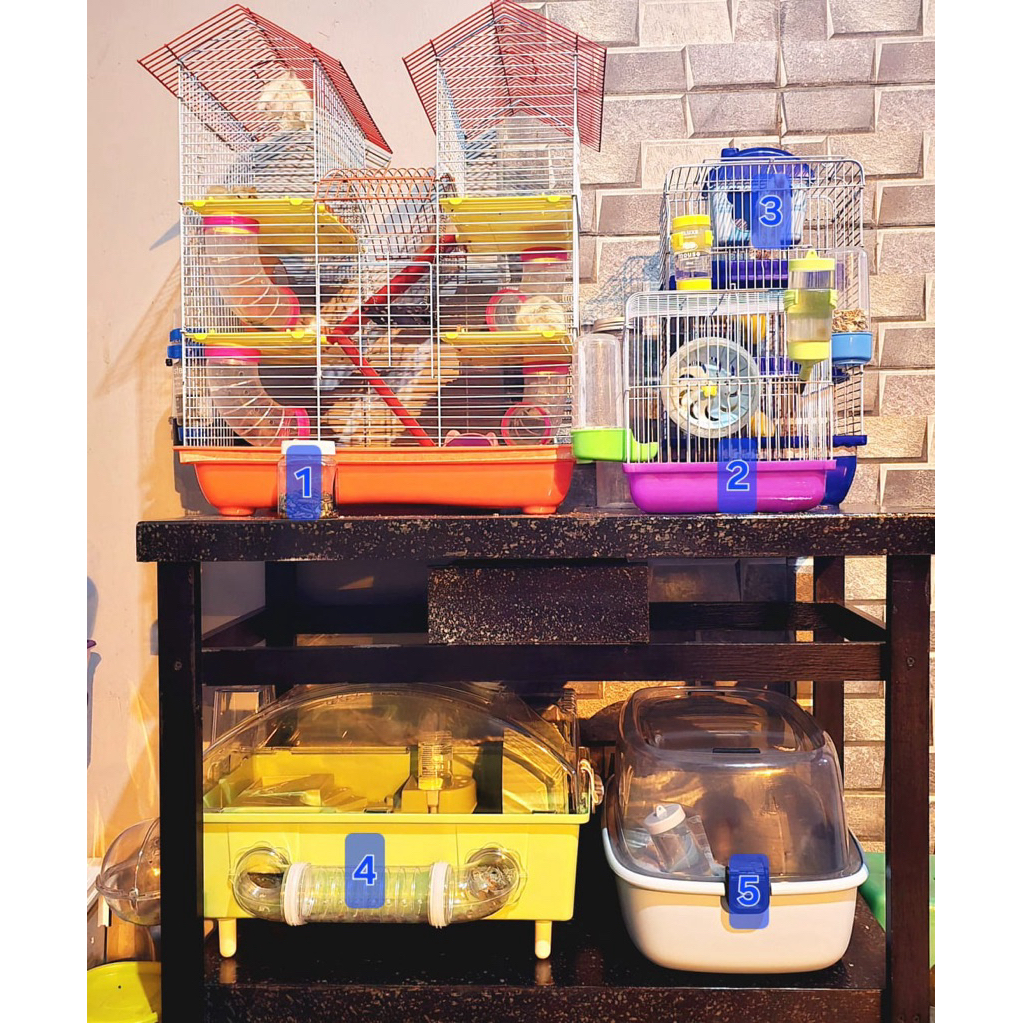 PRELOVED Kandang Hamster Lucu