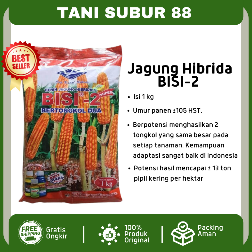 benih jagung BISI 2 1 kg biji jagung hibrida dari bisi kapal terbang bisi 2 bisi2