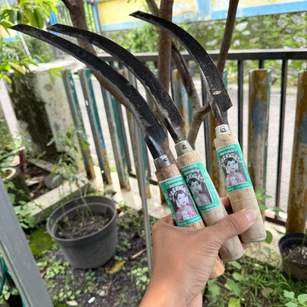 Pisau Sabit pemotong Padi kangkung bahan Baja asli