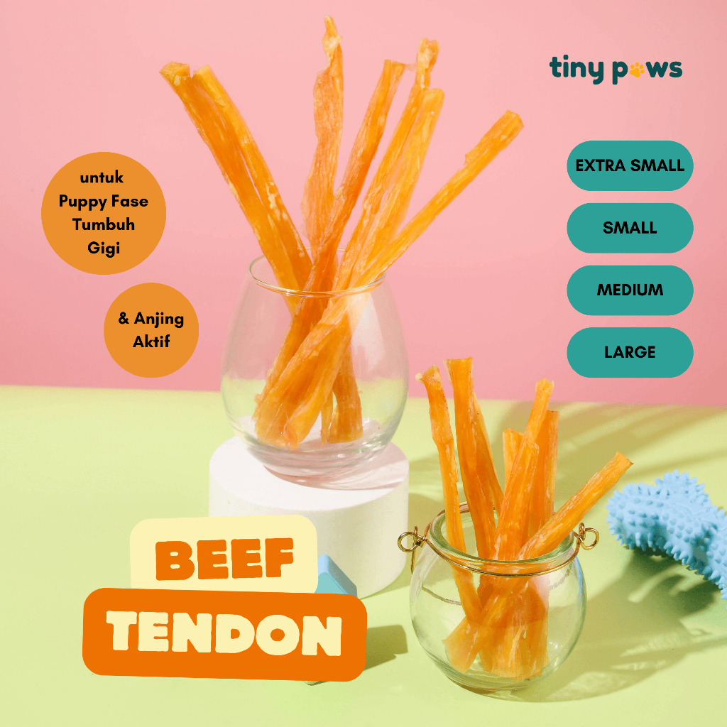 Tiny Paws Beef Tendon - Mainan Gigitan Anjing dari Urat Sapi Kering