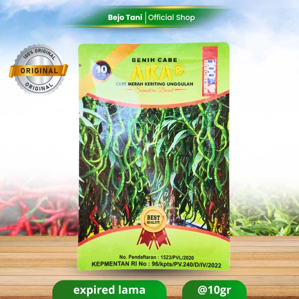 Benih Cabe Keriting AKAR 10gr CMK Lokal Sumatera Barat Bibit Cabe Akar Unggul Original