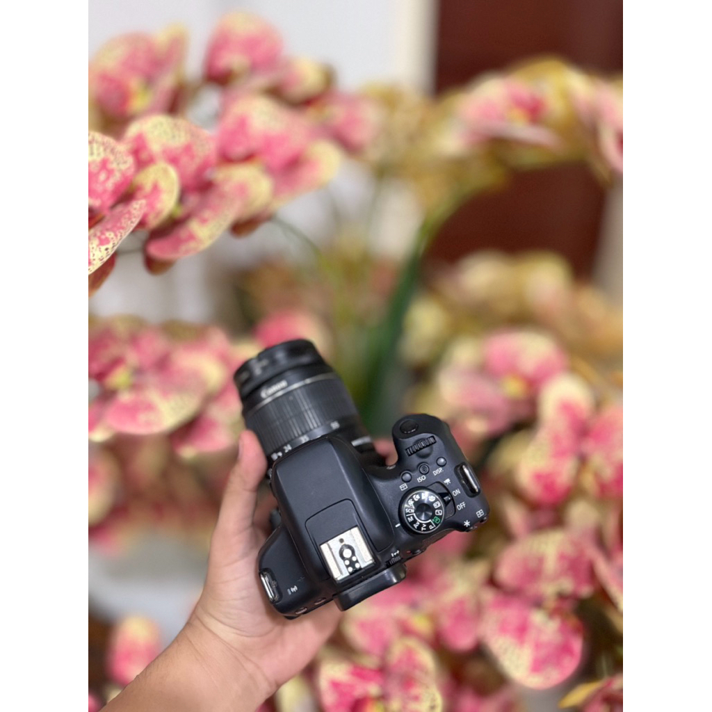 canon 750d bukan canon 800d bukan canon 850d bukan canon 700d
