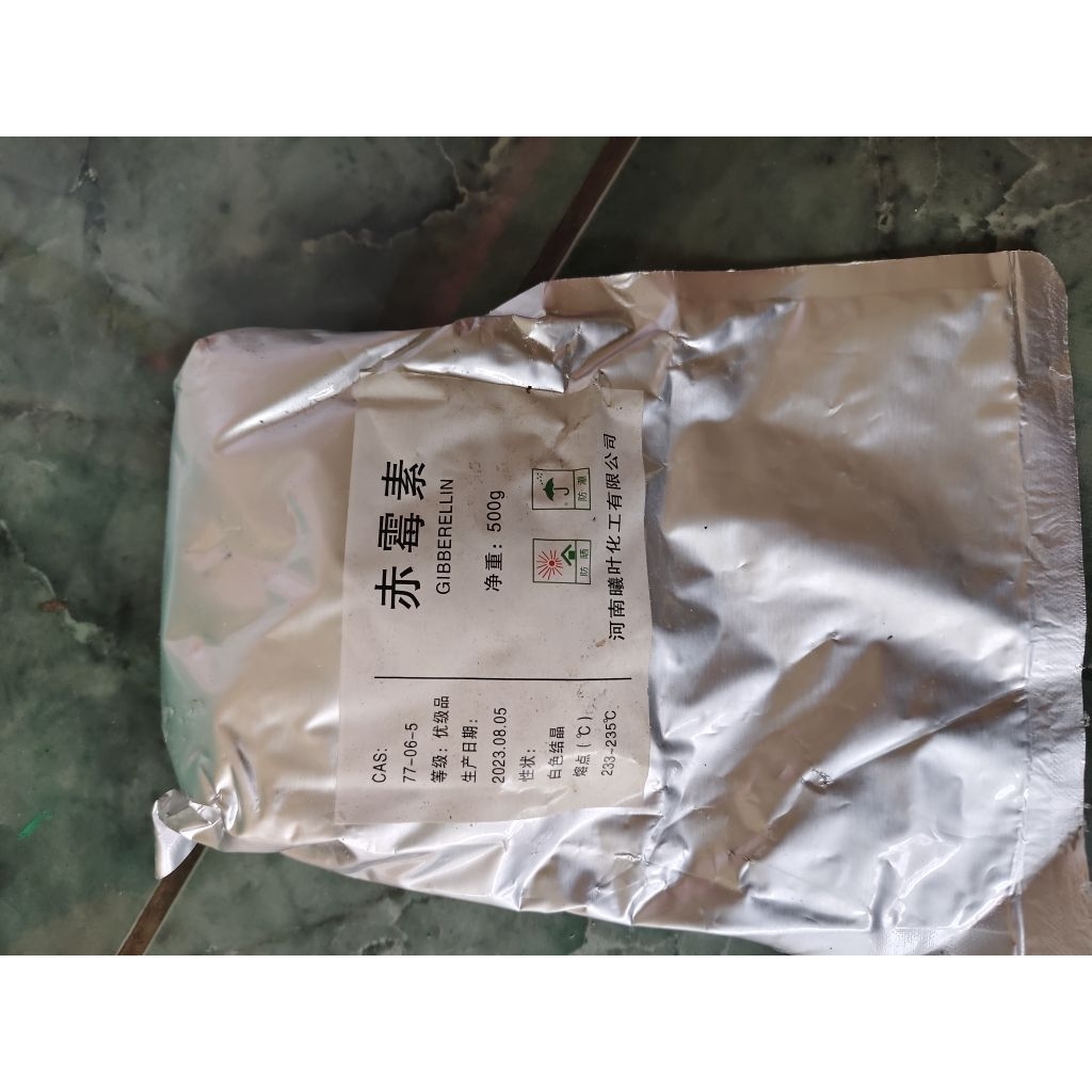 Zpt gibberelin GA3 hormon perangsang bunga dan buah murni 90% per pack 500gr