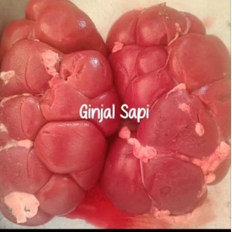 (frozen) Ginjal sapi