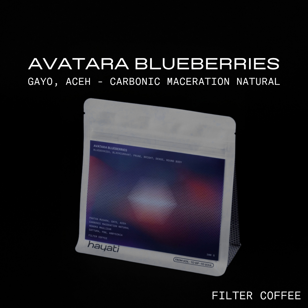 AVATARA BLUEBERRIES | CARBONIC MACERATION NATURAL | SPECIALTY COFFEE FILTER 100gr/200gr