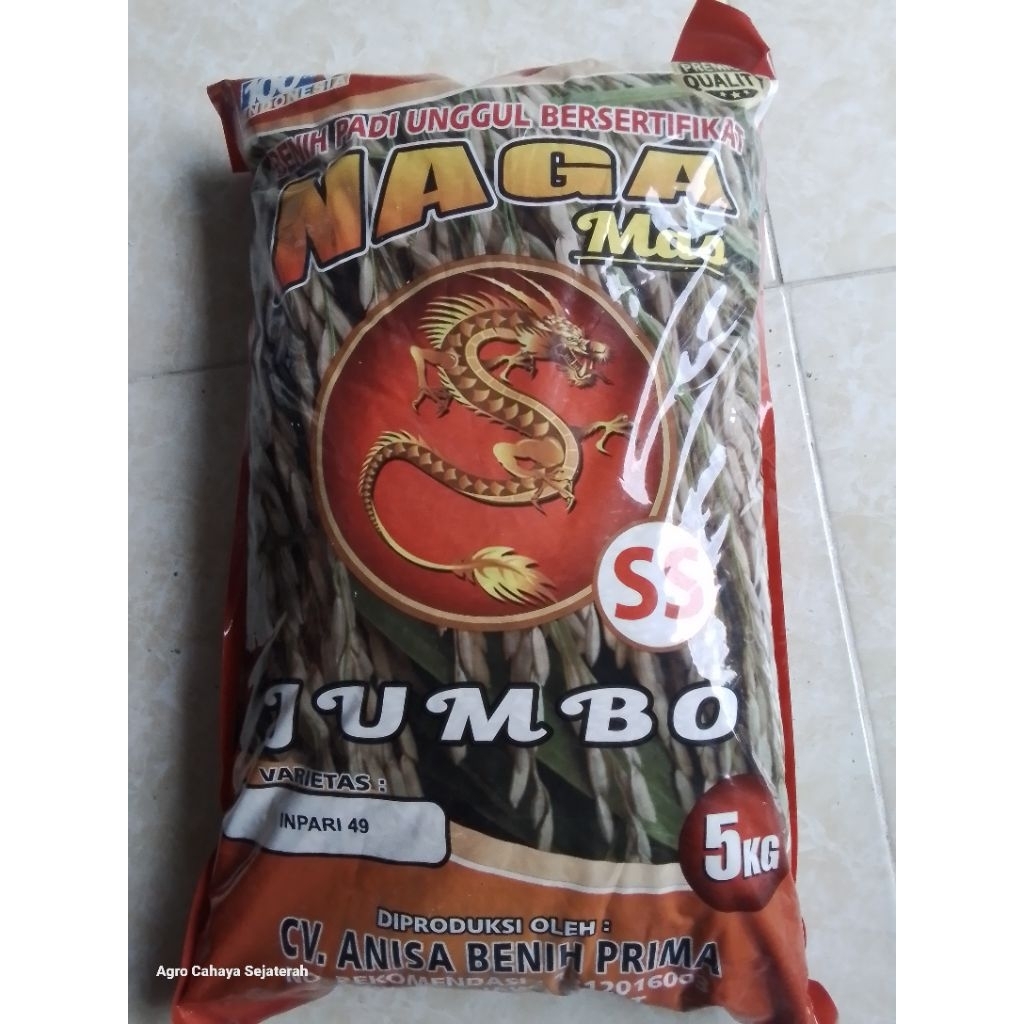 BENIH PADI INPARI 49 JEMBAR NAGA MAS 5KG | BENIH PADI BERKUALITAS INPARI 49 JEMBAR 5KG