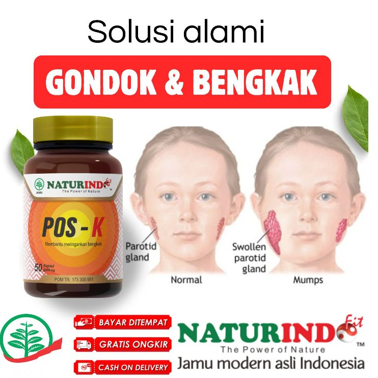 Obat Herbal Gondok benjolan Tiroid POS K Naturindo kelenjar getah bening pos k naturindo