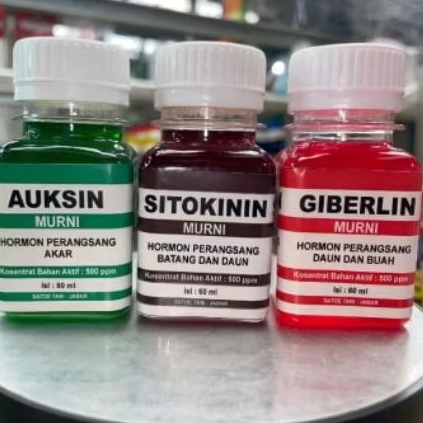 PAKET SITOKININ AUKSIN GIBERELIN Hormon Pertumbuhan