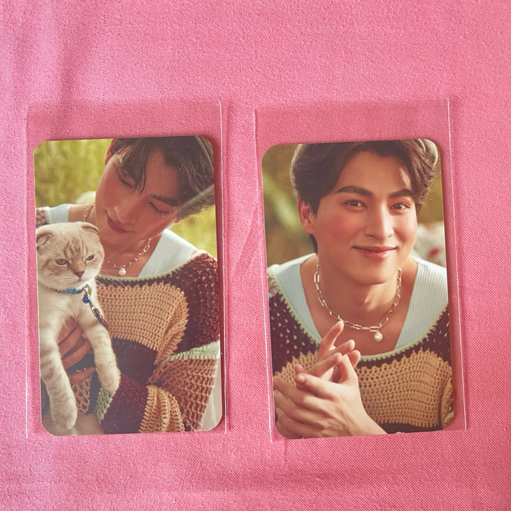 Photocard Gulf Kanawut Pet Hipster