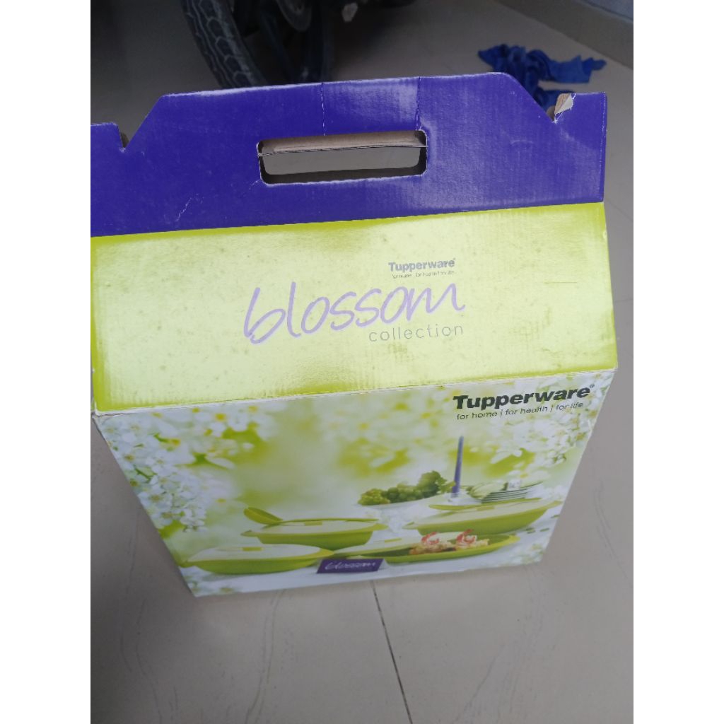 Blossom Collection Tupperware