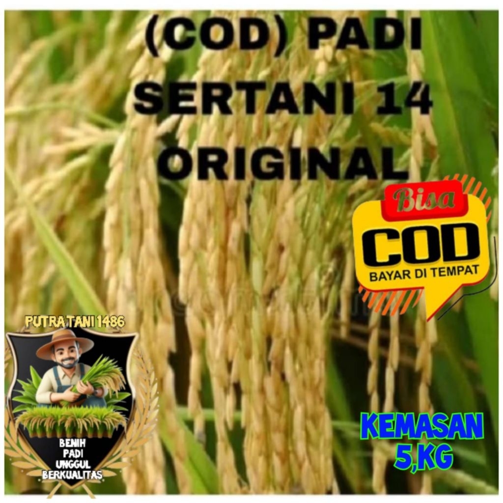 BENIH PADI SERTANI 14 KEMASAN 5KILO