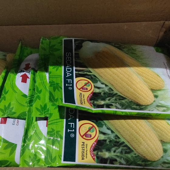 SECADA 88 F1 1750 Butir Benih Bibit Jagung Manis Cap Panah Merah