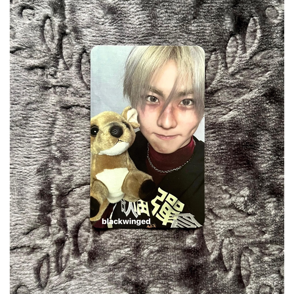 PC JUNGWON BONEKA YOU VER D:U DESIRE:UNLEASH ENHYPEN