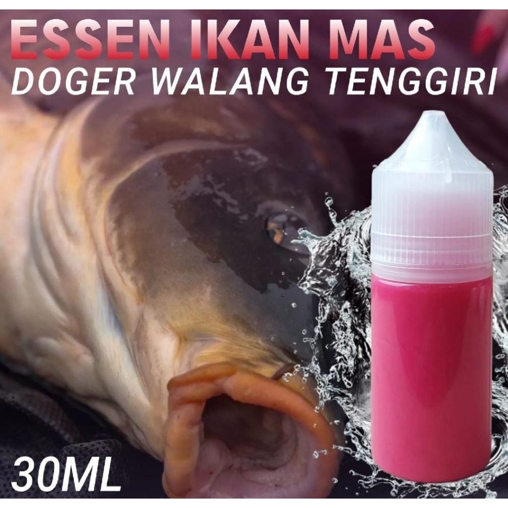 Essen Oplosan Ikan Mas Babon Rame Paling Gacor Siang Malam, Essen Aroma Doger Walang Tenggiri Harian