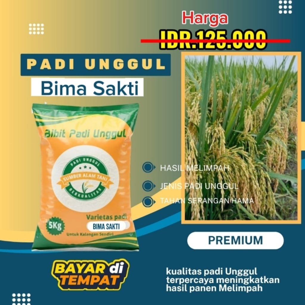 Bibit Padi BIMA SAKTI - 5 Kg Original Varietas Genjah Tahan Hama