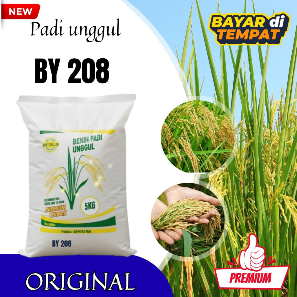 BENIH PADI BY 208 TERBARU KEMASAN 5KG KUALITAS TERBAIK ORIGINAL