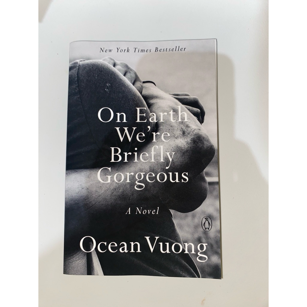 preloved novel on earth were briefly gorgeous english version