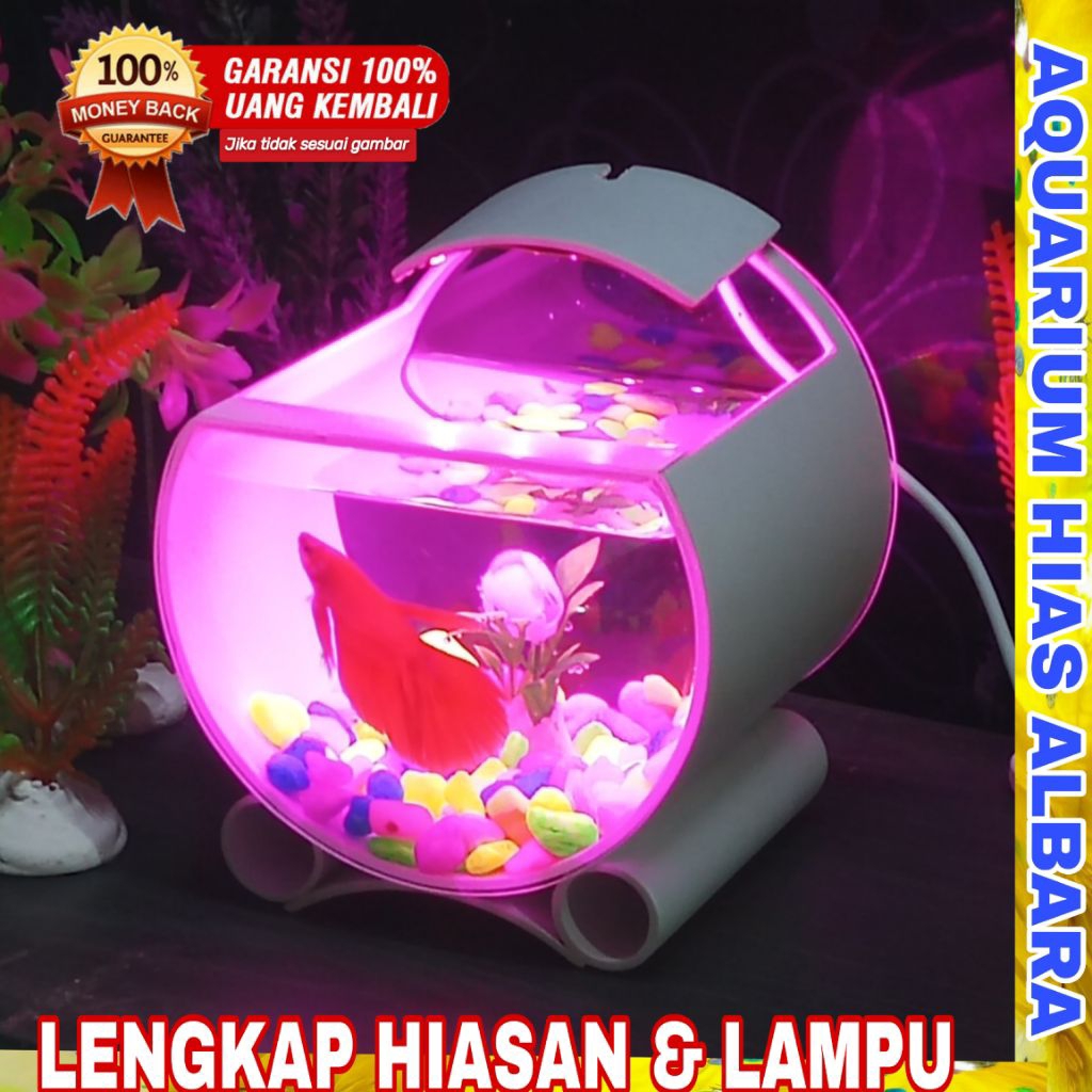 Aquarium Mini Ikan Hias Cupang Unik Full set Dengan Lampu Warna
