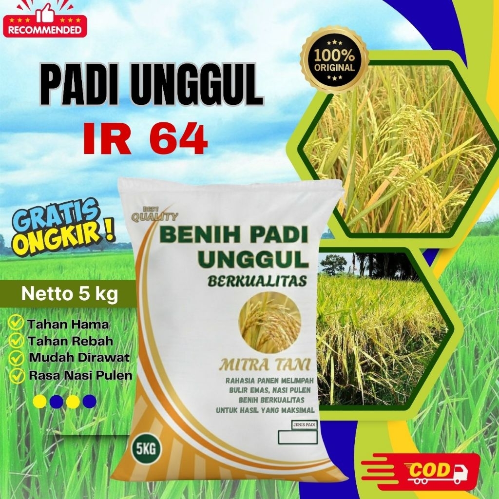 bibit padi IR 64 kemasan 5kg