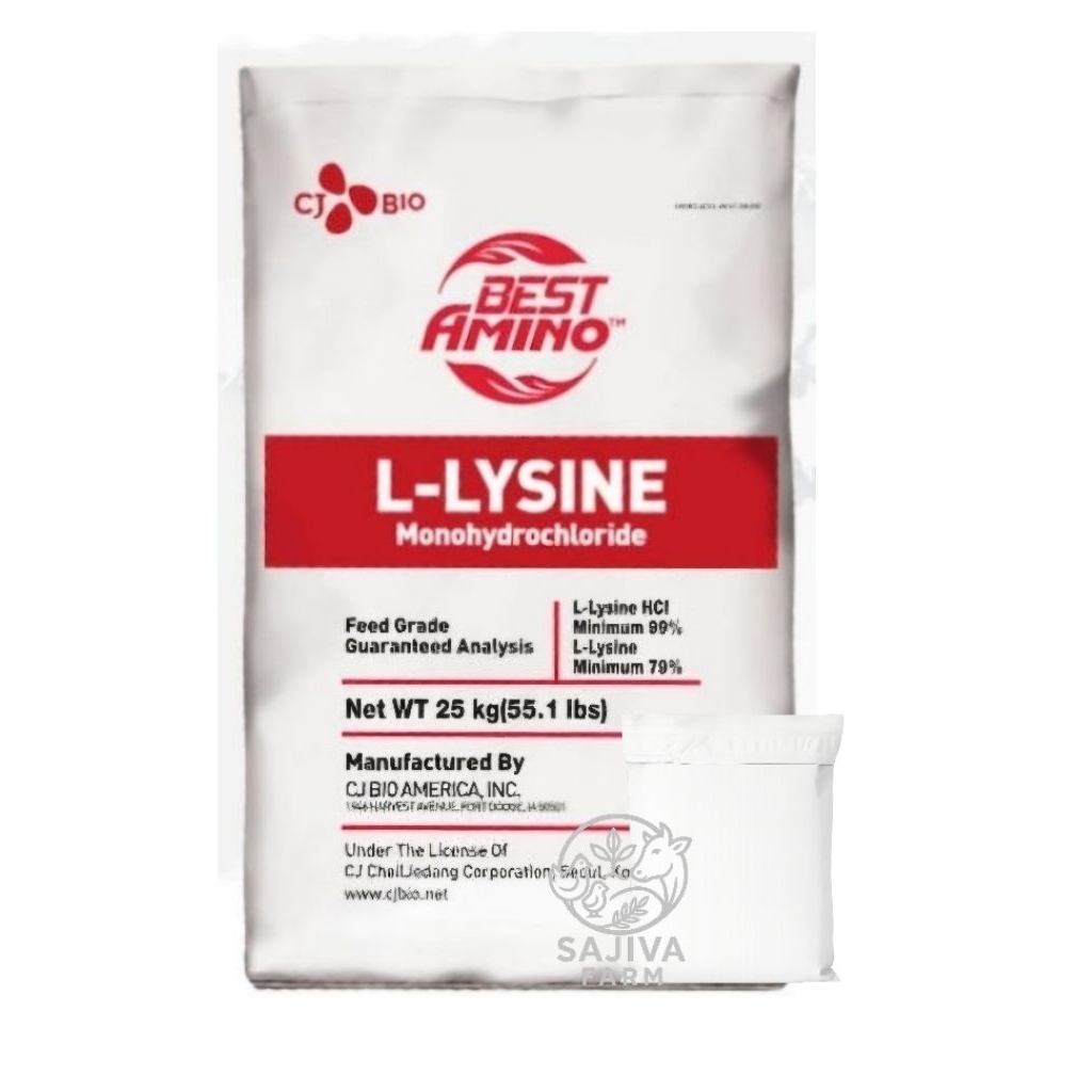 L-Lysine Asam Amino Ternak Cheil Jedang
