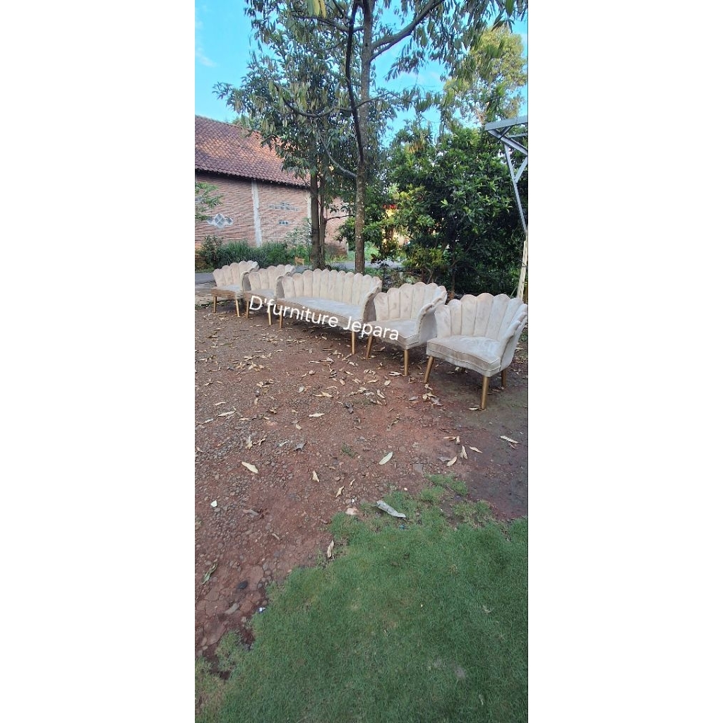 sofa kerang, sofa pelaminan kerang terbaru