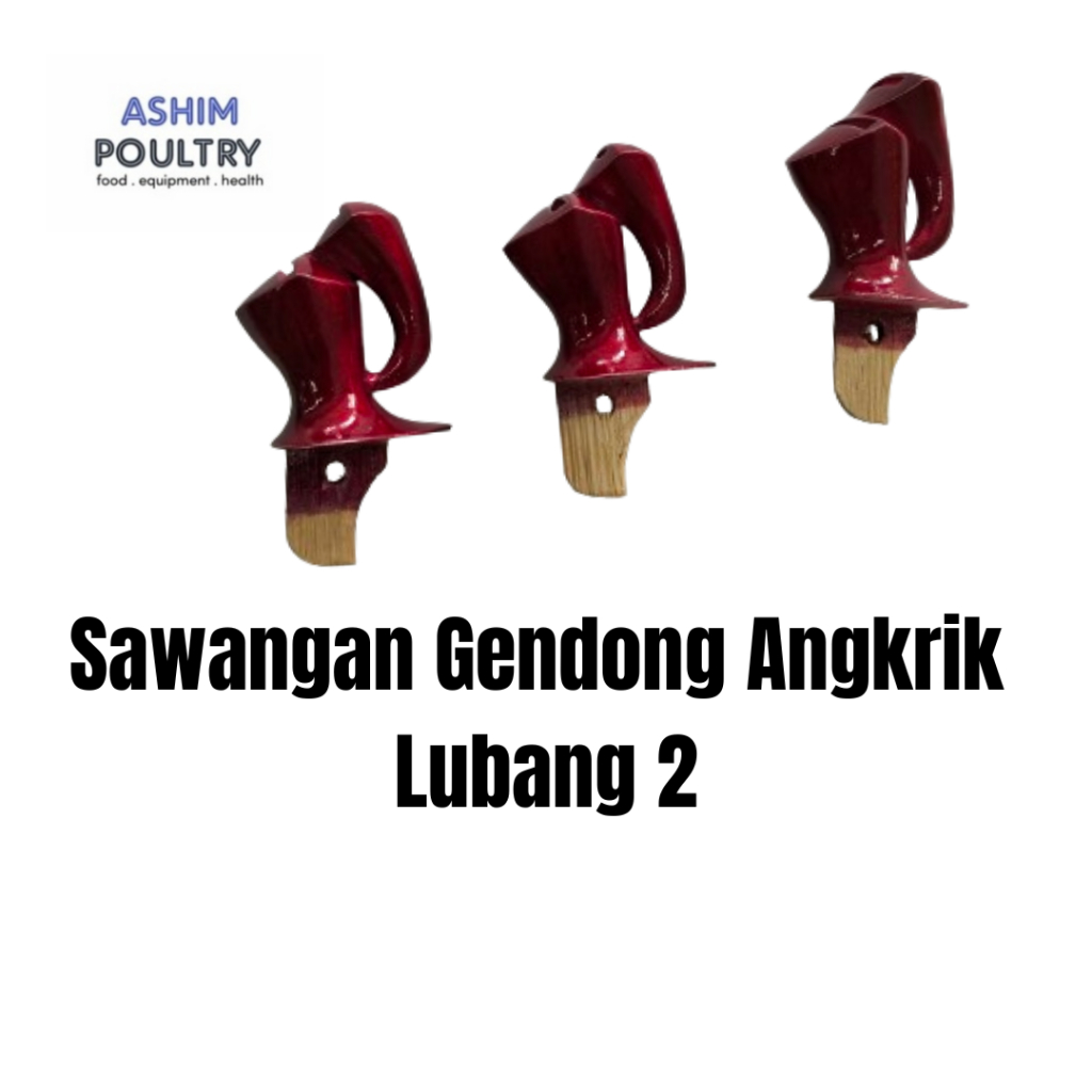 Sawangan merpati gendong angkrik lubang 2