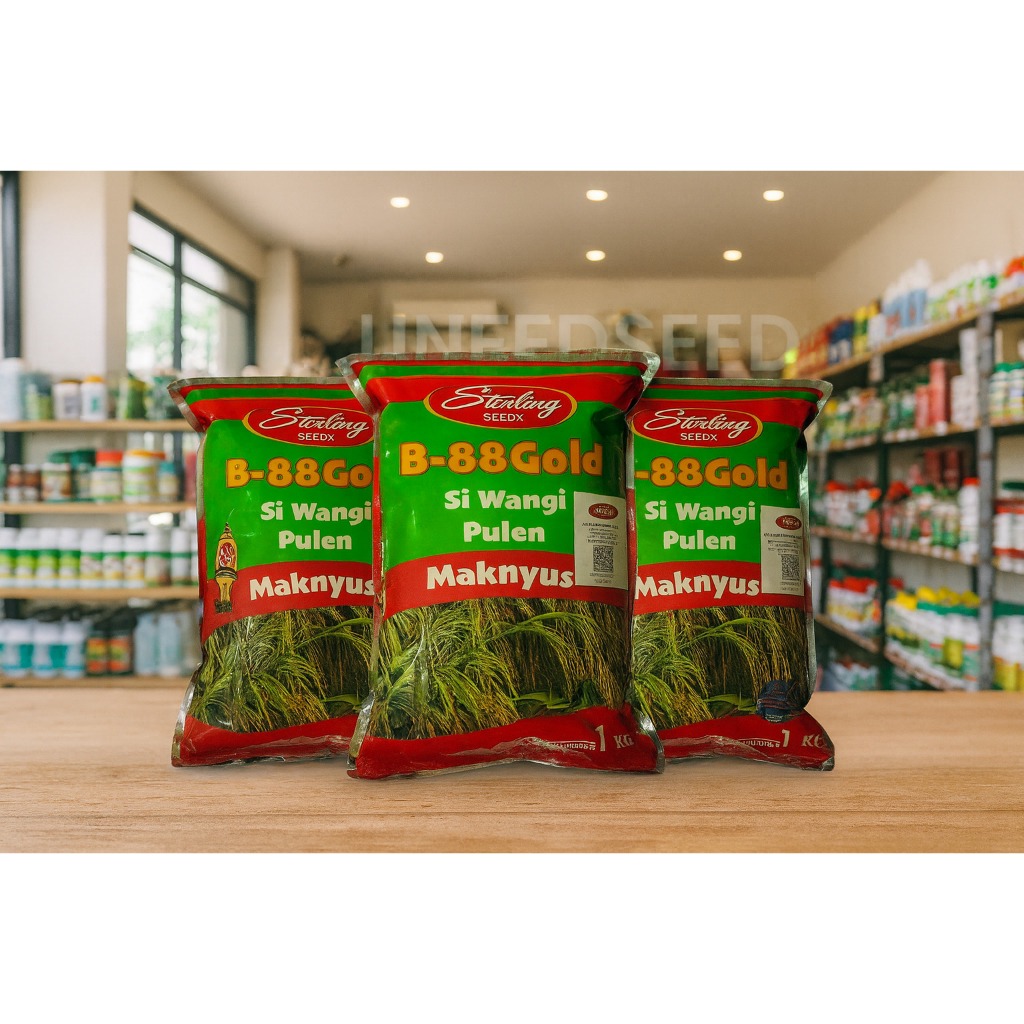 PROMO  BENIH PADI HIBRIDA STERLING B88 Gold
