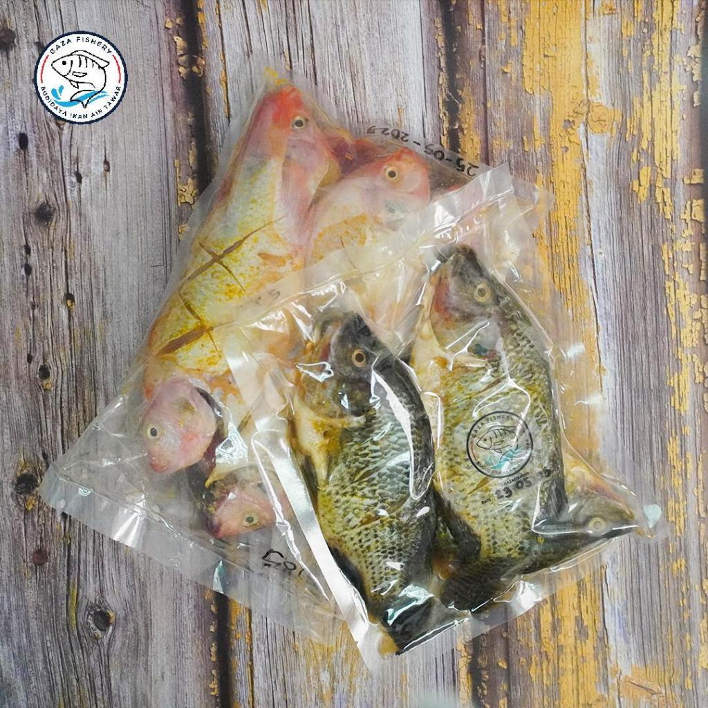 Ikan Nila Marinasi Frozen Tinggi Protein 800gr