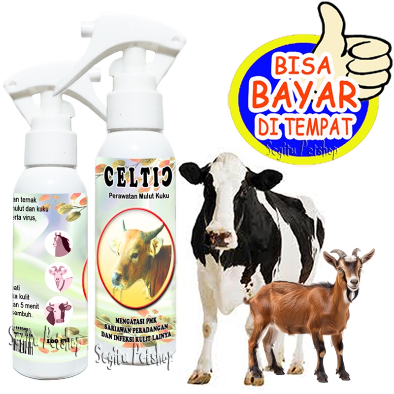Obat Sariawan Sapi Kambing Penyakit Mulut Kuku PMK Celtic Spray