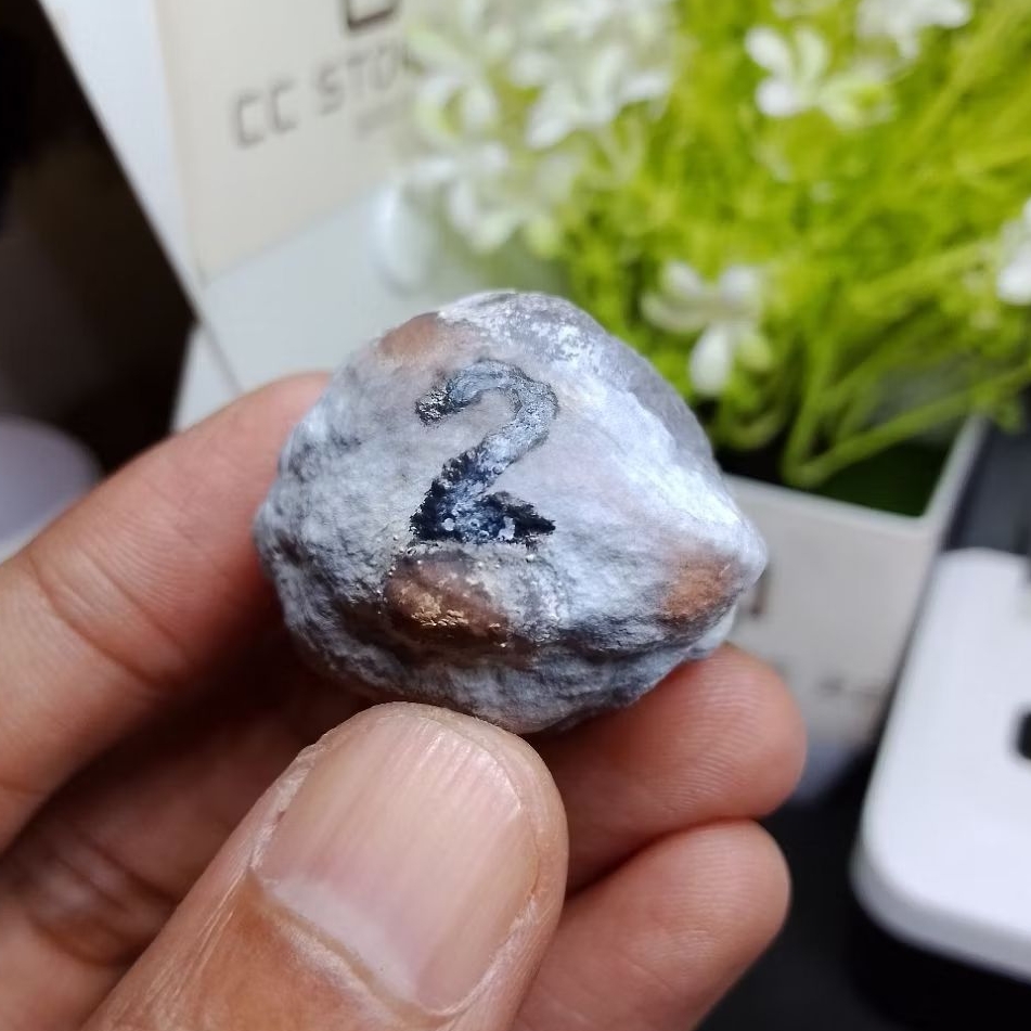 Muncang Adu ETI GIANT kode 2