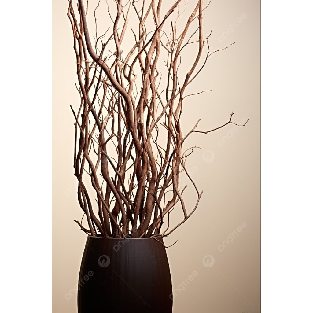 ranting pohon kering estetik dekorasi/hiasan panjang 1meter isi 10 ranting Peking aman siap kirim