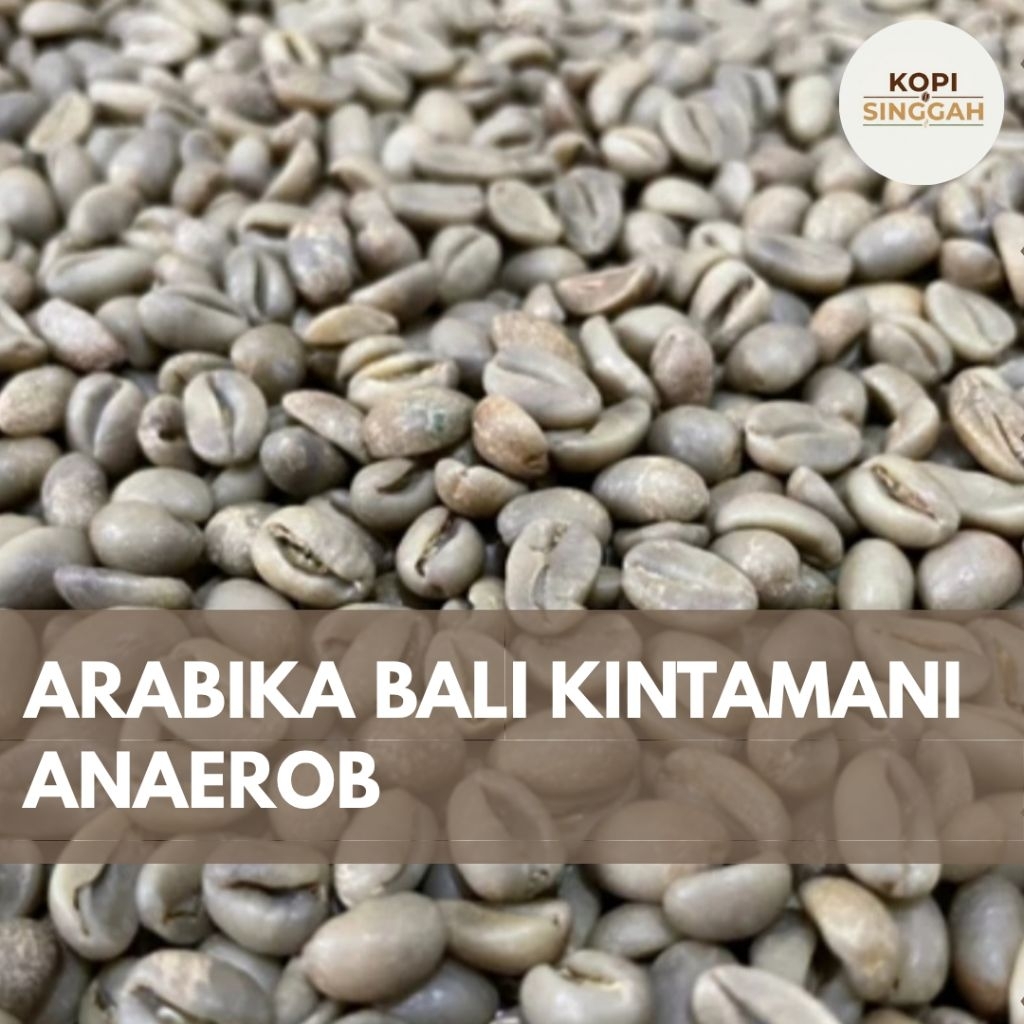 GreenBean Arabika Bali Kintamani Anaerob Proses