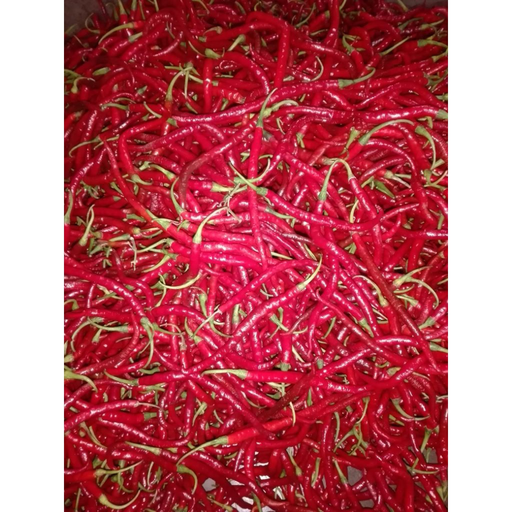 cmk cabai merah kriting kiloan 250 gr