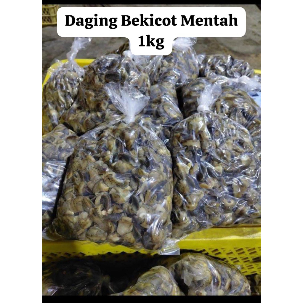 BEKICOT 02 MENTAH 1 kg frozen