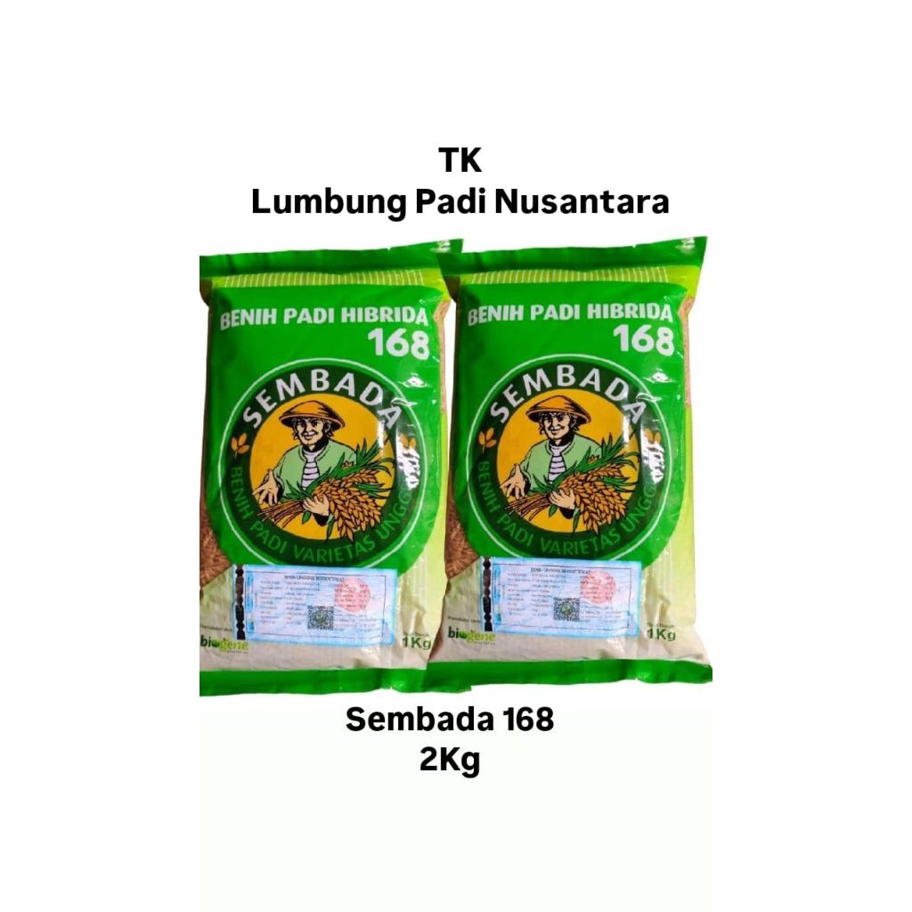 Sembada Benih Padi Hibrida 168 Varietas Unggulan 2 Kg untuk Hasil Panen Optimal dengan Akar Lebat Ba
