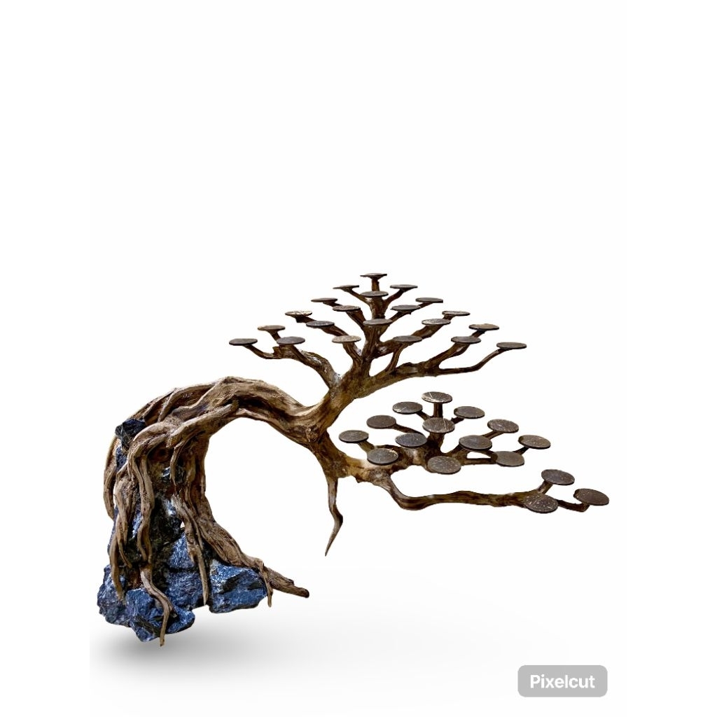 Bonsai Full Kayu Rasamala Jumbo 30cm x 45cm – Natural Aquascape Hardscape