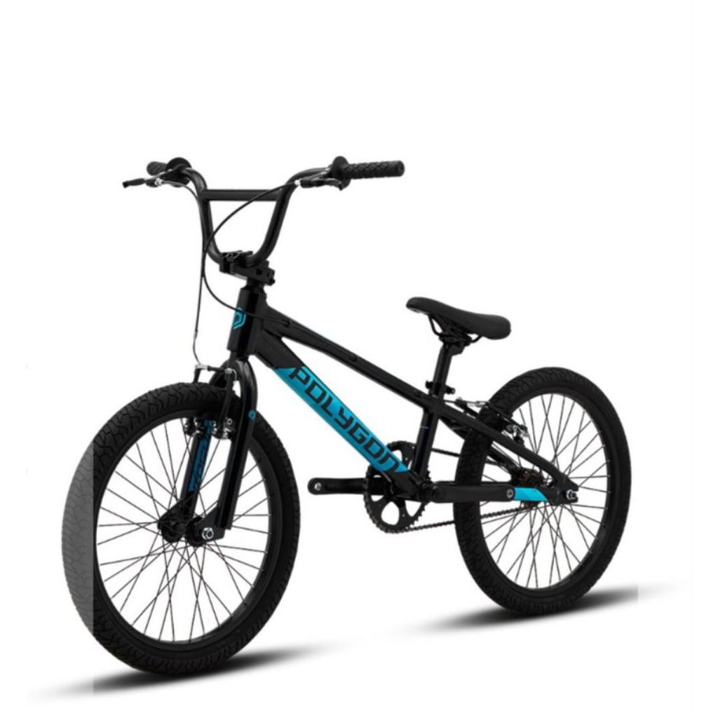 SEPEDA ANAK BMX POLYGON ROGUE 20 INCH BLACK ALLOY NEW