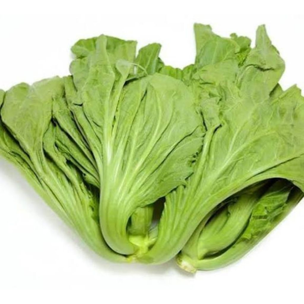 sawi pahit segar berkualitas