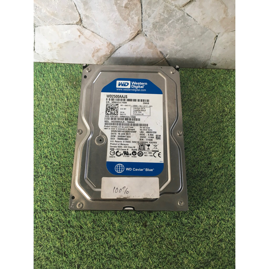 Hardisk WD 250gb